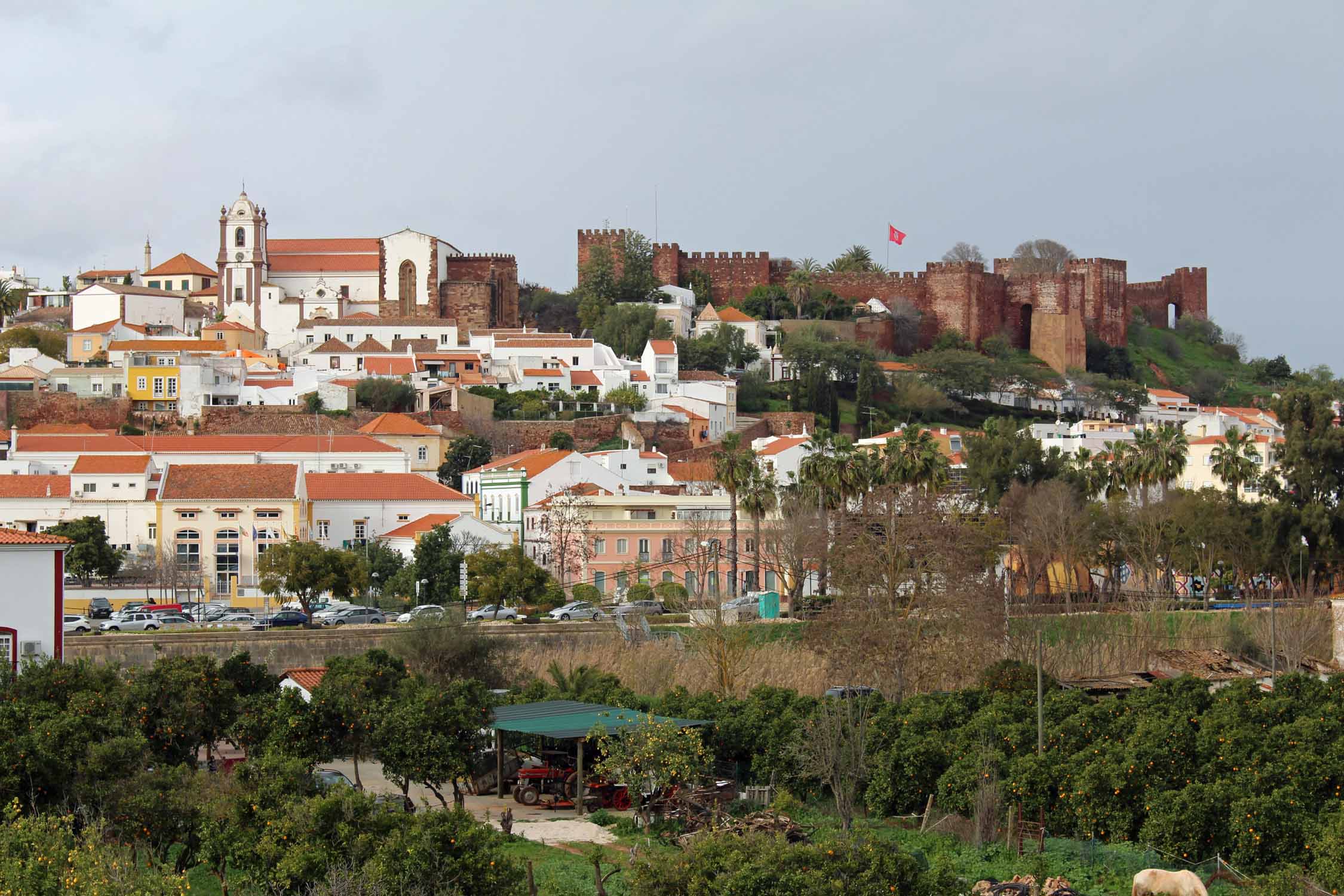 Silves, paysage