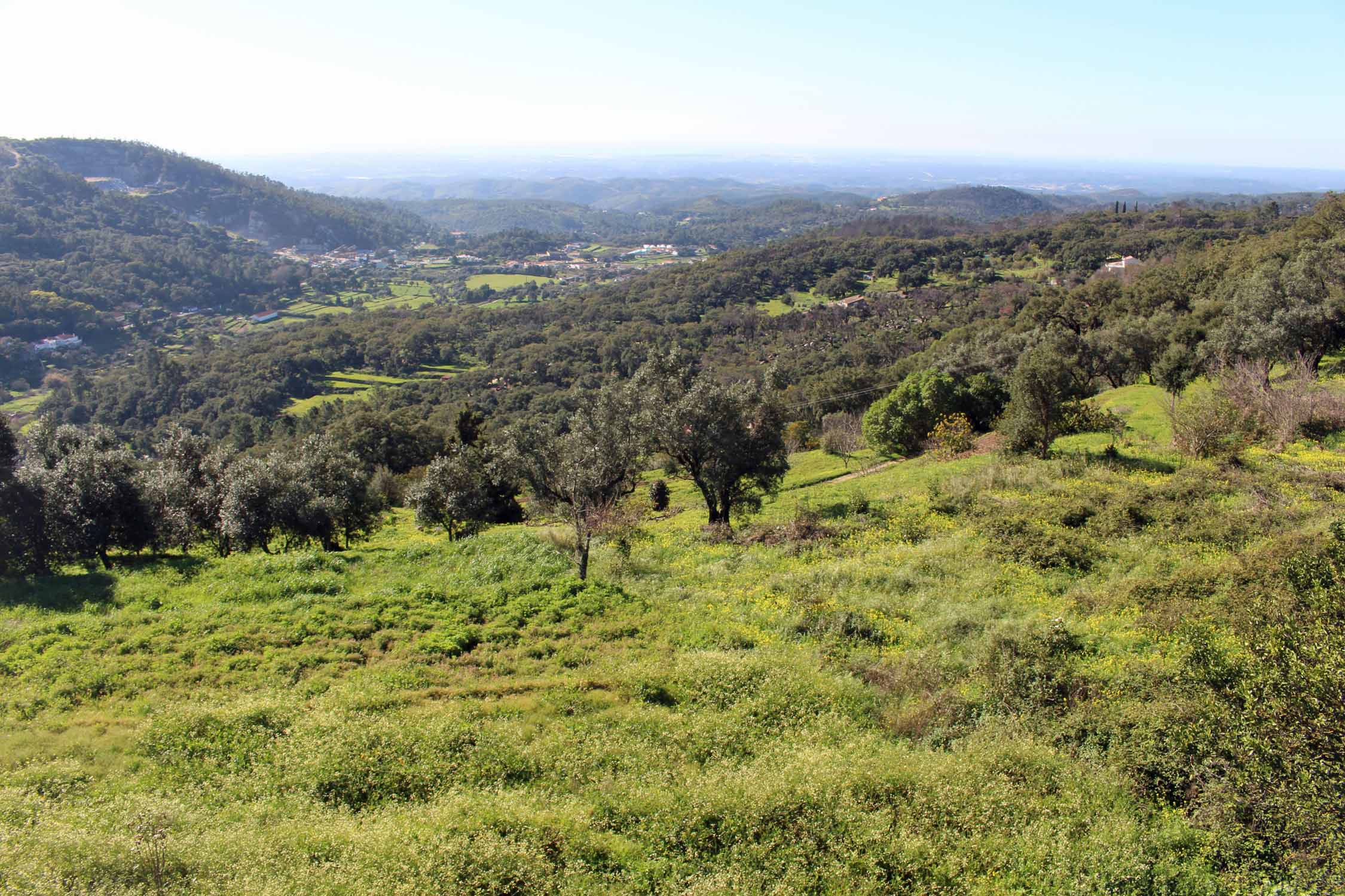 Serra de Monchique, paysage