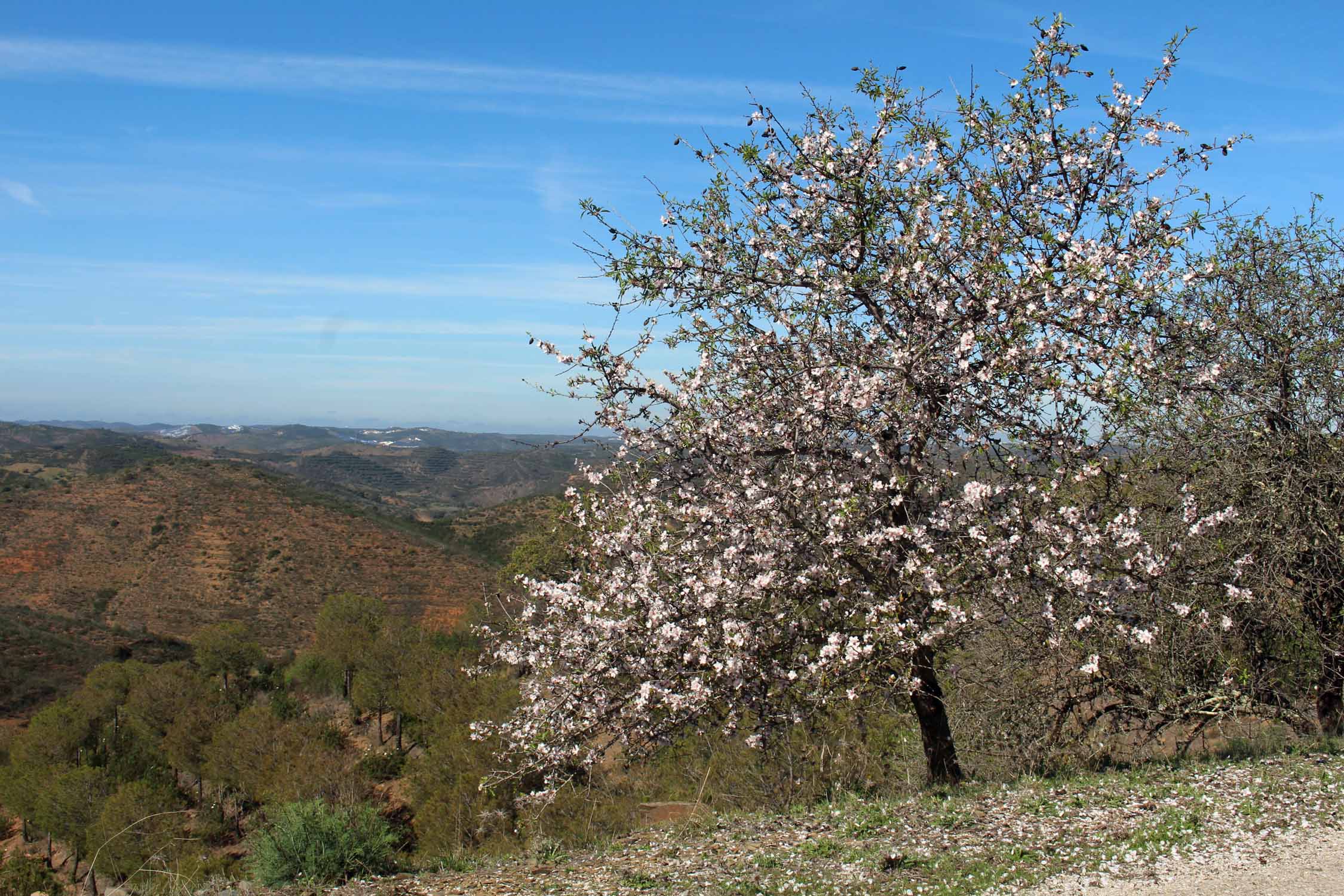 Zambujal, paysage