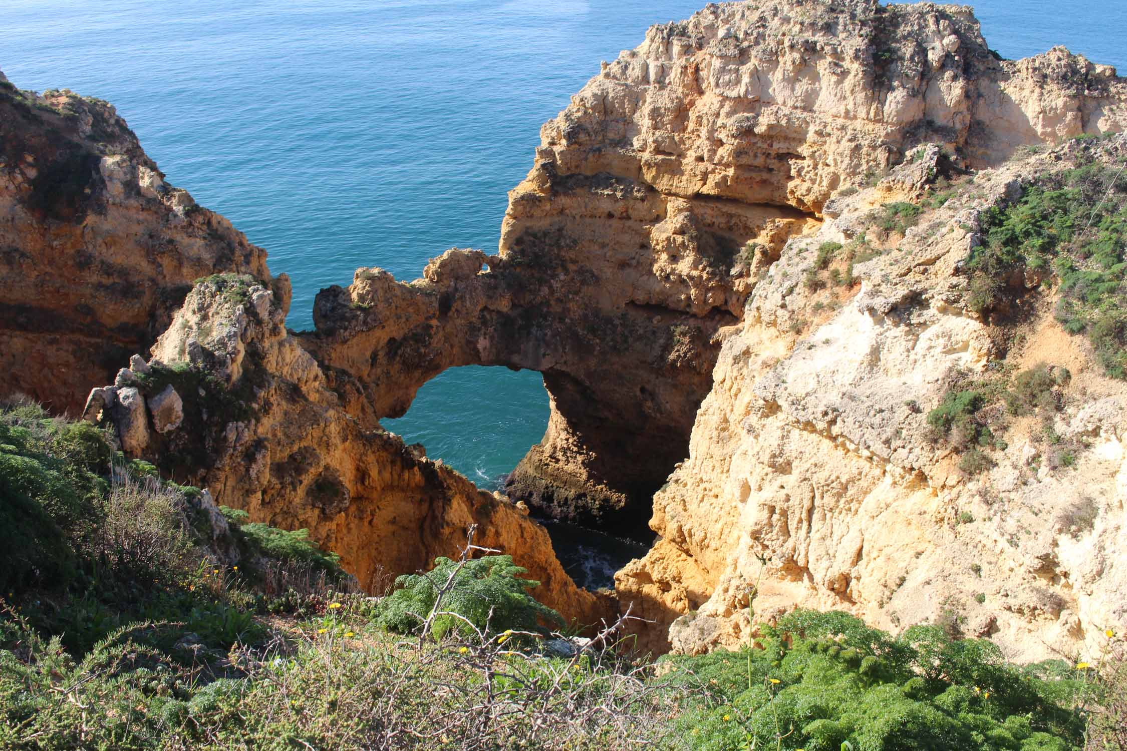 Ponta da Piedade, arche