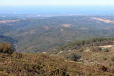 Mont Foia, paysage