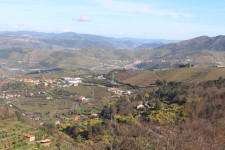Samod&atilde;es, vignoble Porto