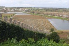 Montemor-o-Velho, ch&acirc;teau, cr&eacute;neaux