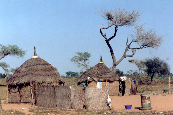 Sénégal