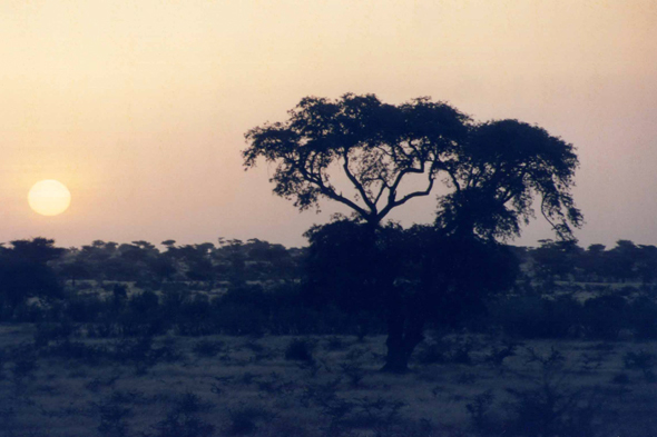 Le Ferlo, coucher de soleil