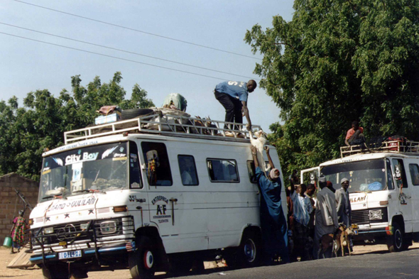 Sine Saloum, minibus