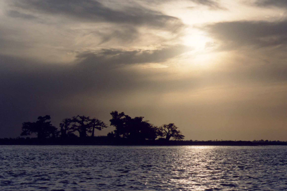 Sine Saloum, pirogue