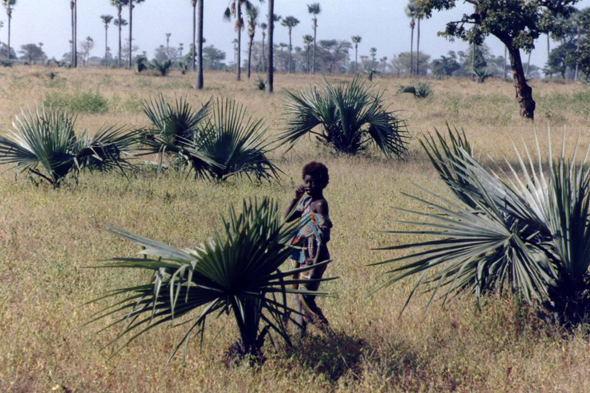 Samba Dia, paysage