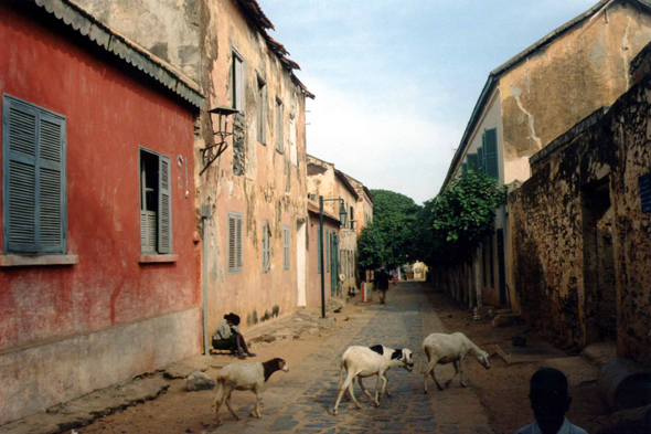 Ile de Gorée