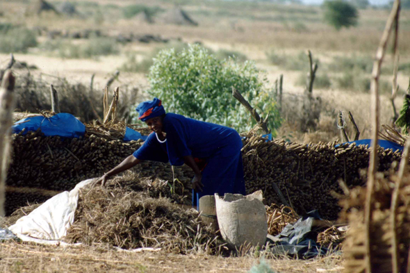 Somone, village, Sénégal