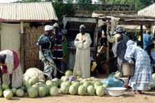 Fatick, march&eacute;