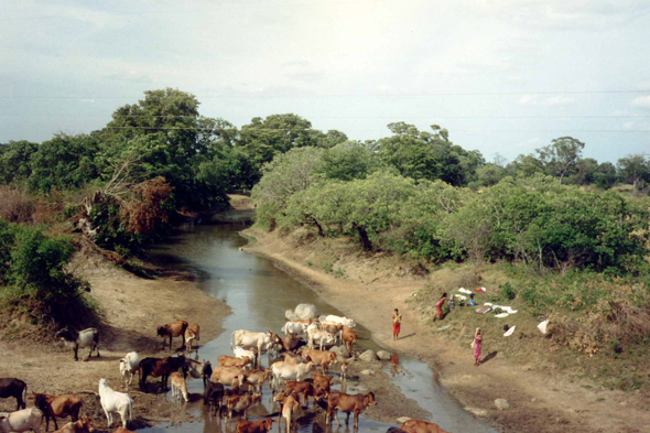 Nalanda