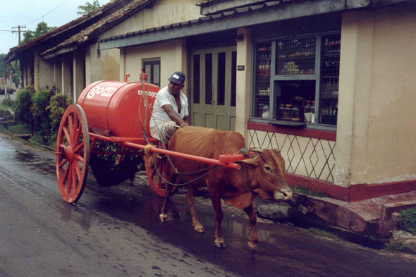 Bentota, citerne