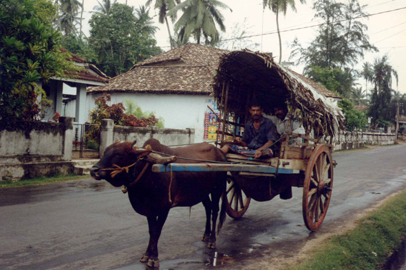 Colombo, carriole