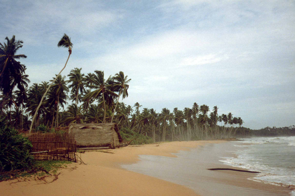 Bentota, plage