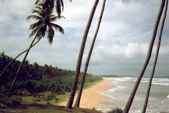 Bentota, Ceylan