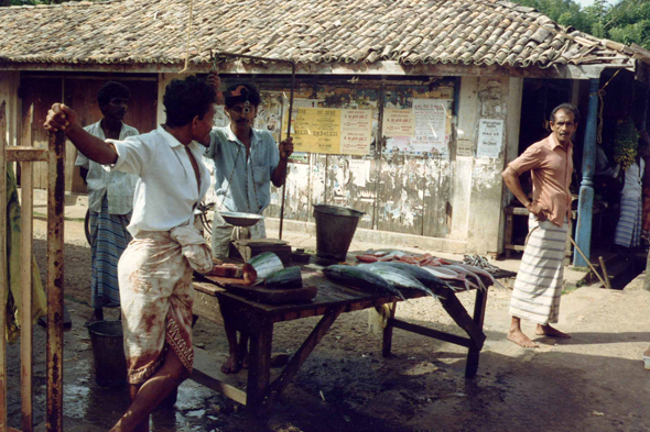 Ambalangoda, marché