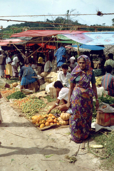 Colombo, marché