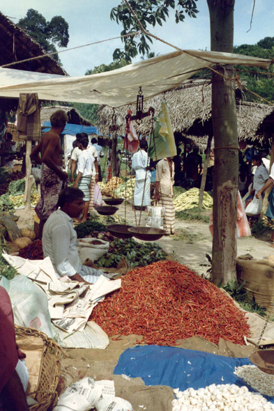 Colombo, piments