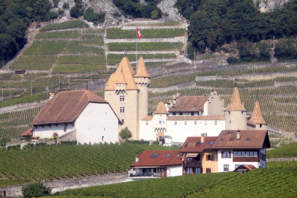 Aigle, château