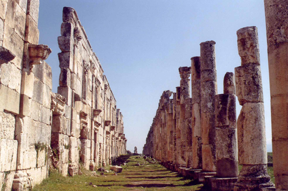 Apamée, ruines