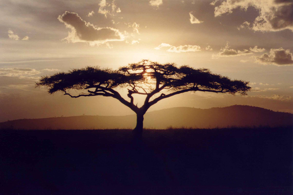 Tanzanie