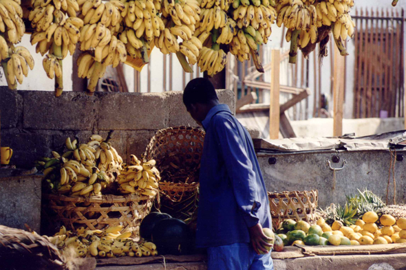 Zanzibar, bananes