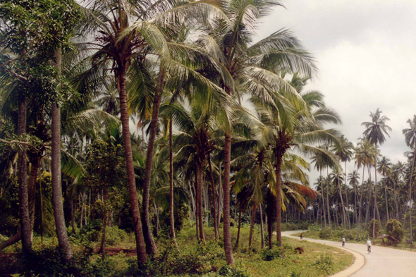 Kizimbani, Zanzibar, Tanzanie