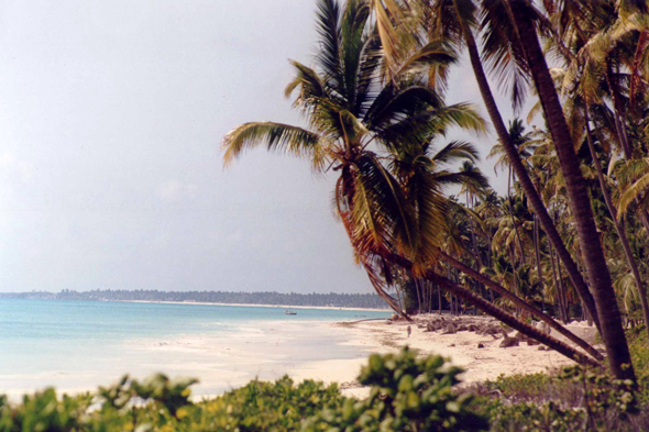 Zanzibar, Plage de Paje