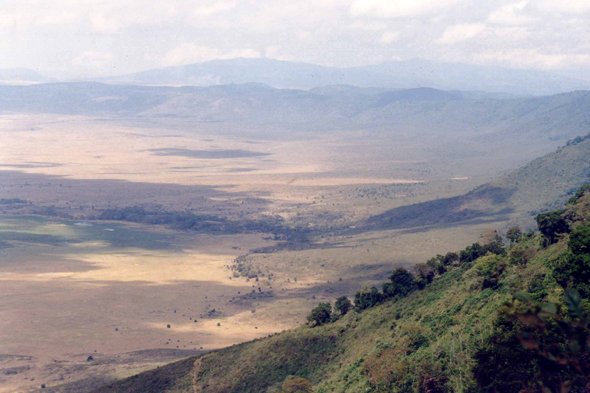 Ngorongoro, Tanzanie