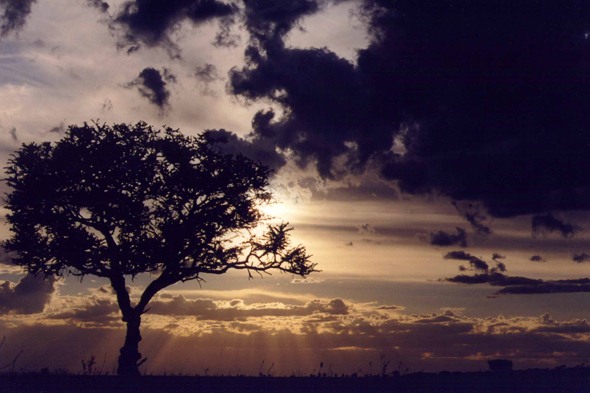 Serengeti, paysage