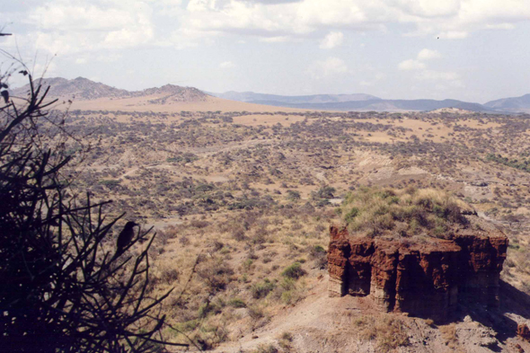 Ngorongoro, Olduvai