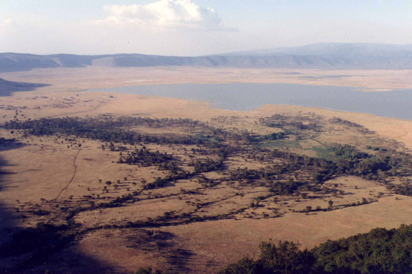 Ngorongoro, vue