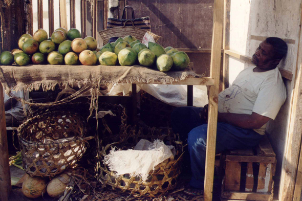 Zanzibar, Marché, noix de coco