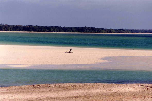 Zanzibar, Baie de Chwaka