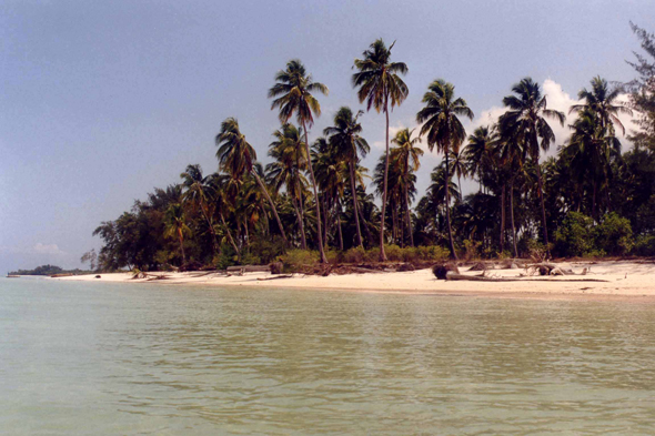 Baie de Chwaka, Zanzibar