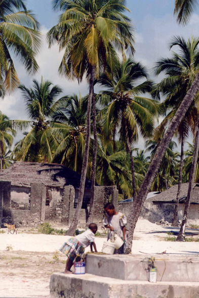 Zanzibar, village de Paje