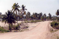 Paje, Zanzibar