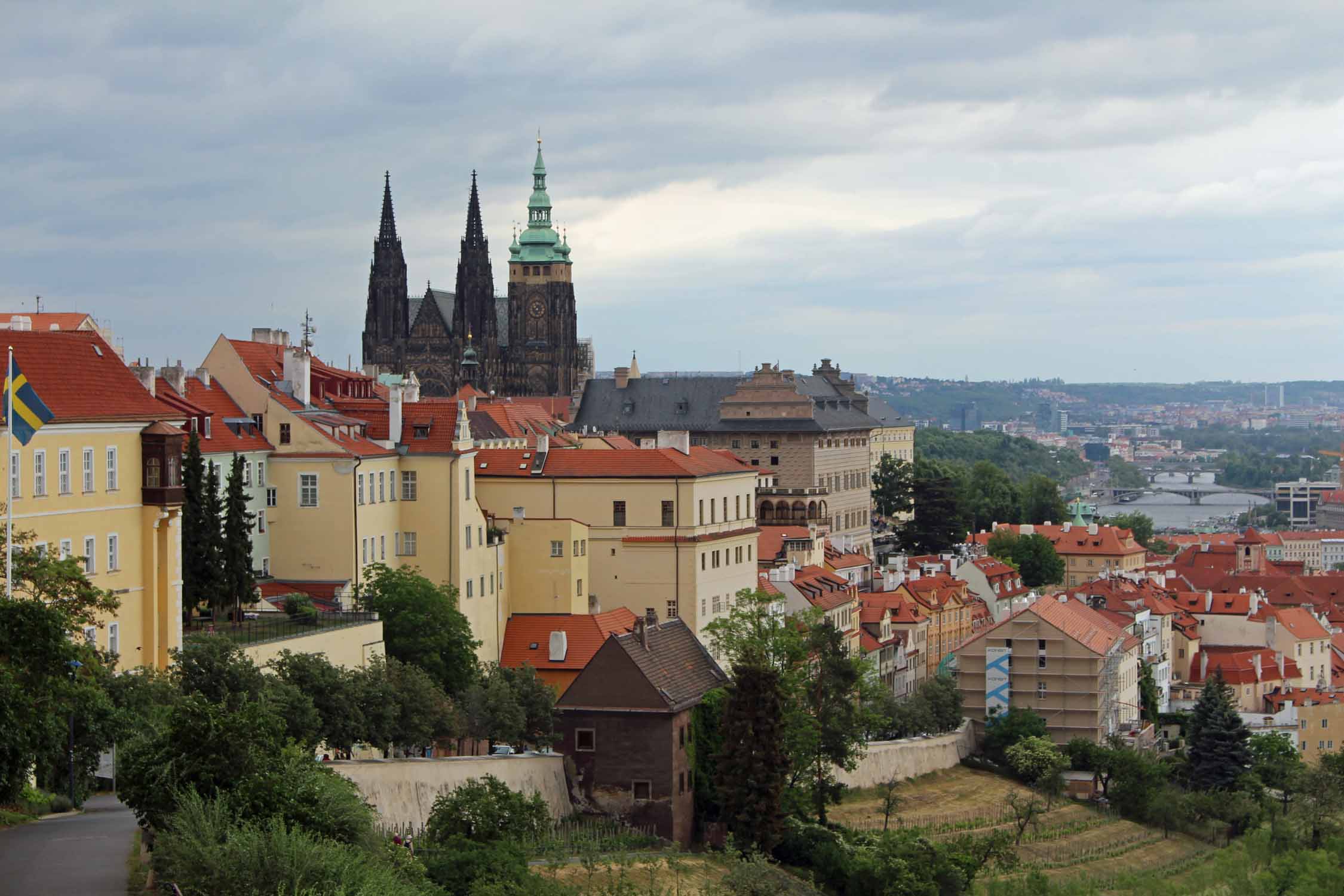 Prague, panorama, cathédrale Saint-Guy, vigne