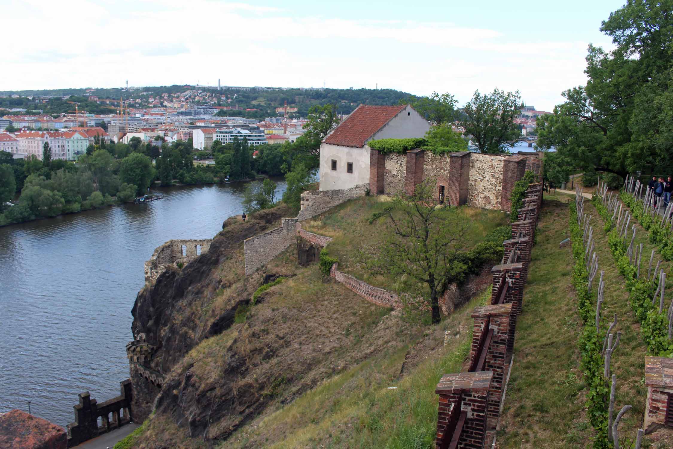 Prague, vignobles Visehrad