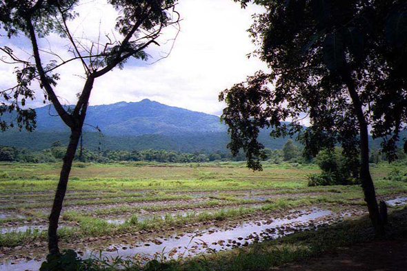 Mae Chan, paysage