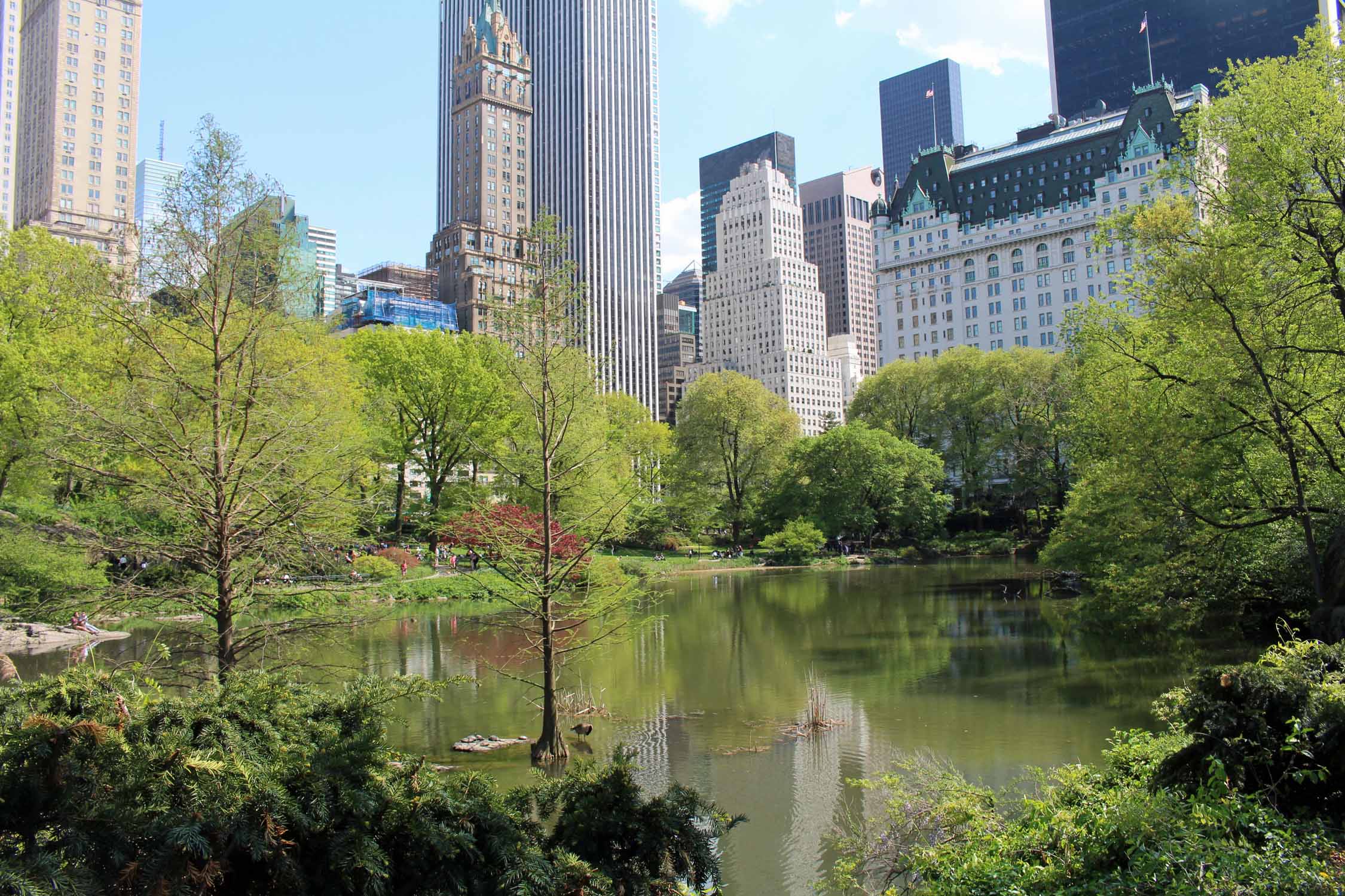 New York, Manhattan, le magnifique Central Park