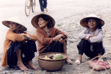 Vietnamiennes