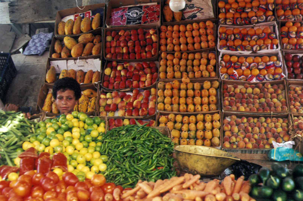 Al-Mukalla, Fruits et légumes