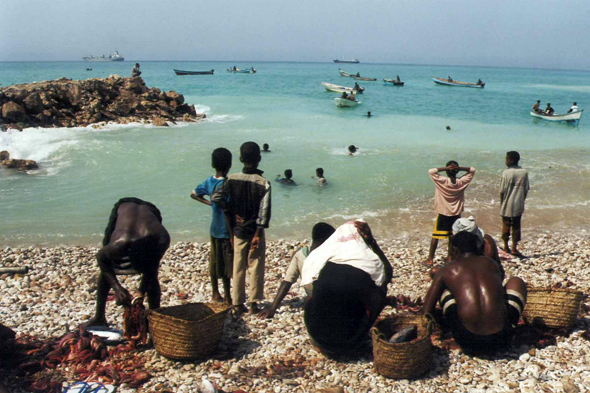 Yémen, Pêcheurs